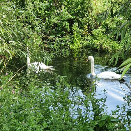 Walthamstow Wetlands-伦敦必去景点
