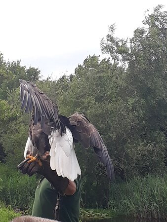 Topvogel景点图片