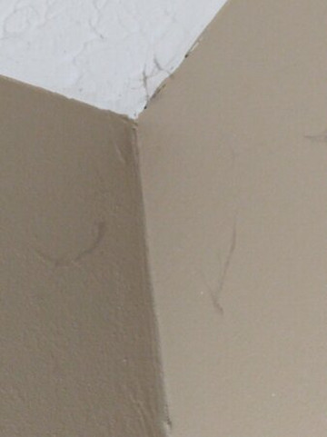 Comfort Inn Independence主图