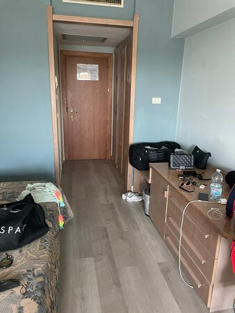 欧陆大酒店主图