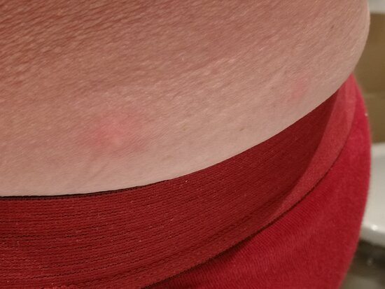 Pestana Grand Premium Ocean Resort主图