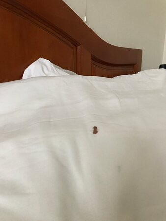 Hotel Villa List主图