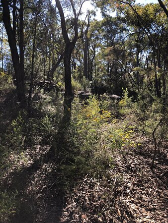 Lalor Drive Trail景点图片