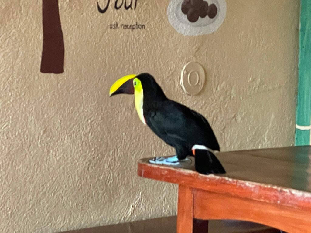 Essence Arenal Hotel, Biofarm & Spa主图