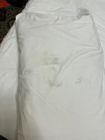 The Manor Resort主图