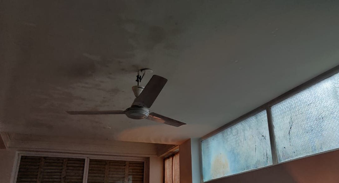 The Rajbari Bawali主图