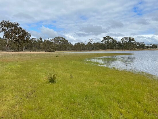 Barkers Creek Reservoir-Harcourt必去景点