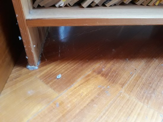 B&B Ca' de Neva di Silva Fabbiani主图