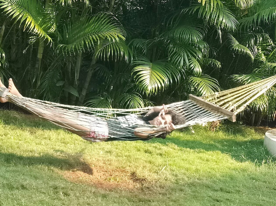 Sindhuja Resort