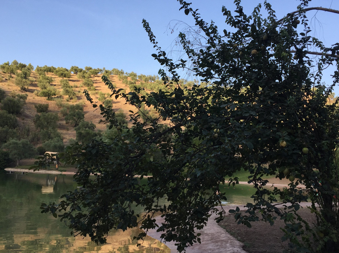 Albergue Juvenil El Bosque