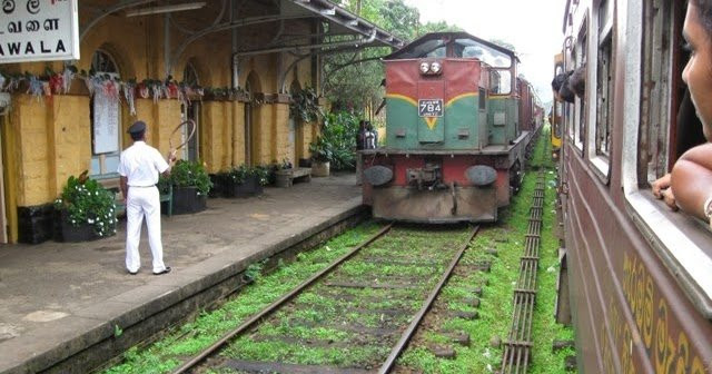 The Greendale Bungalow主图