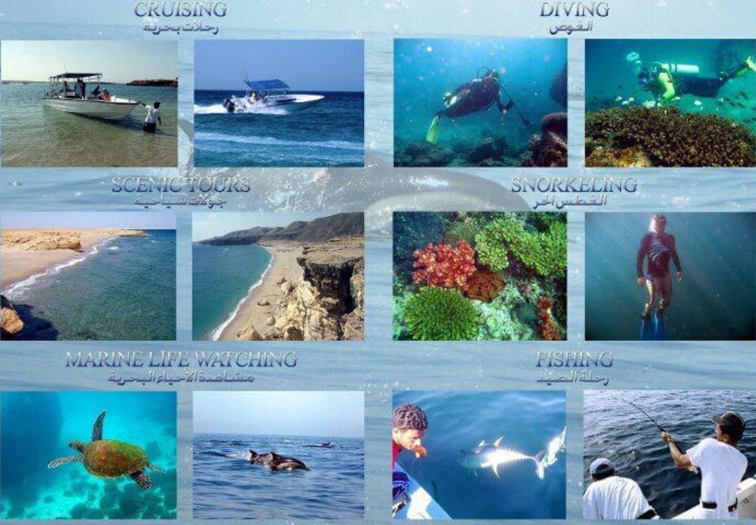 Arabian Sea Adventures景点图片