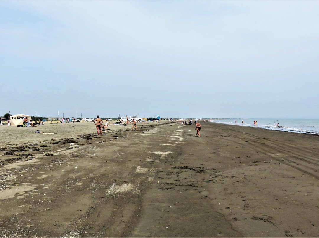 Aniva Beach景点图片