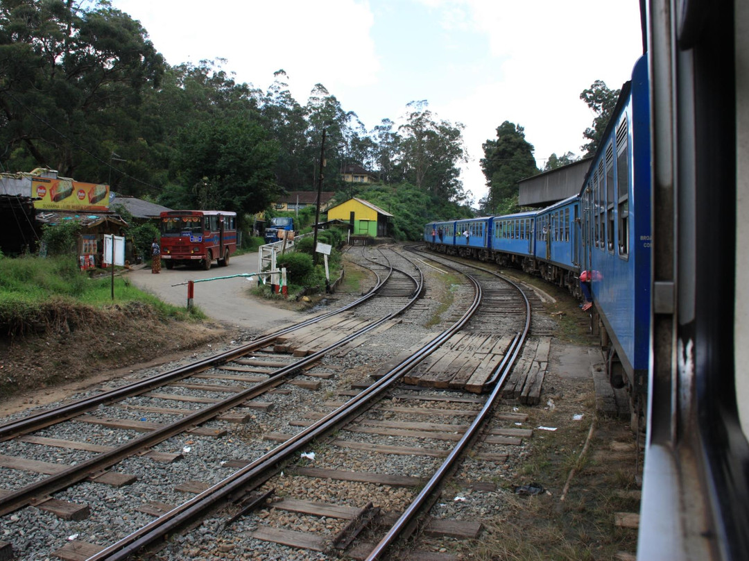 Train Tours-埃勒必去景点