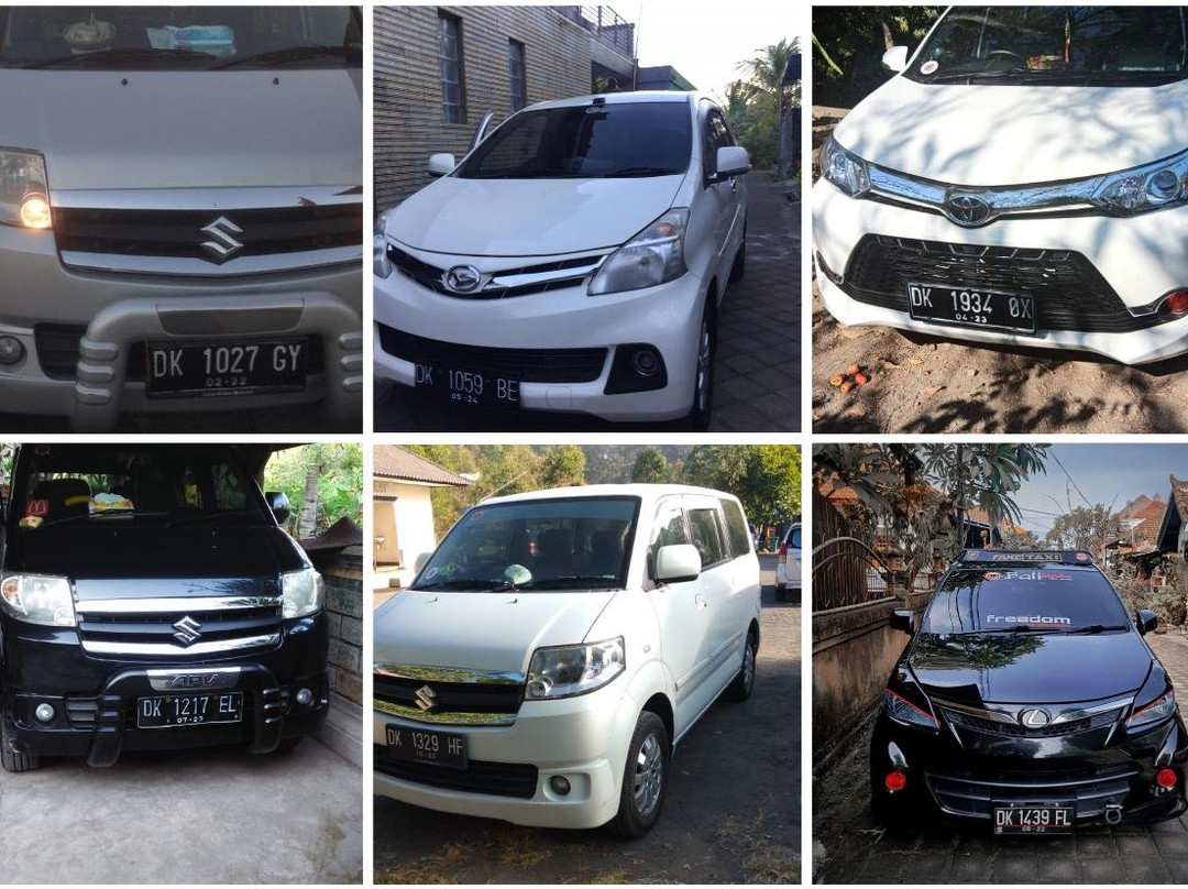 Lais Bali Driver-登巴萨必去景点