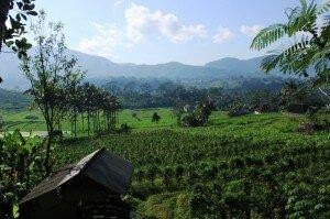 Sidemen Tour and Trekking景点图片