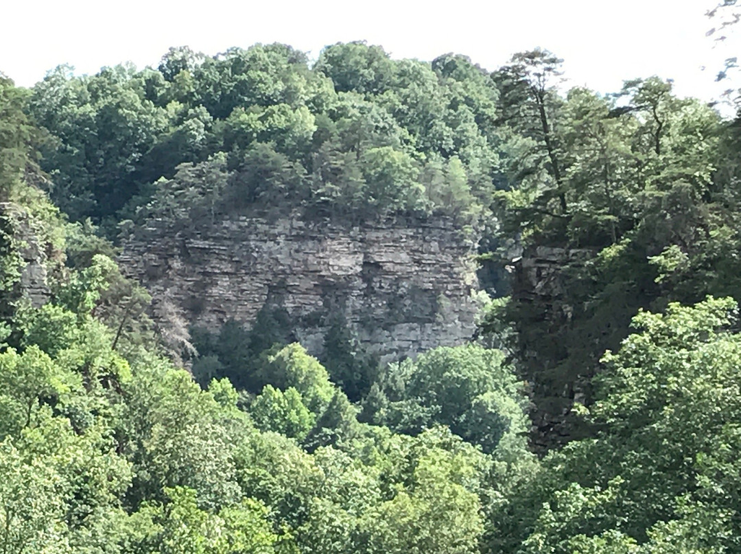 Pisgah Gorge Falls景点图片