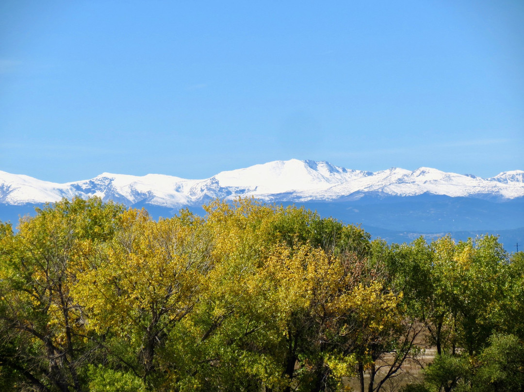 Commerce City旅游攻略图片