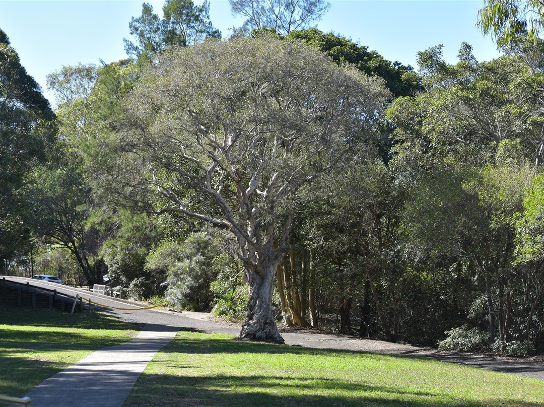 Banjo Paterson Reserve景点图片