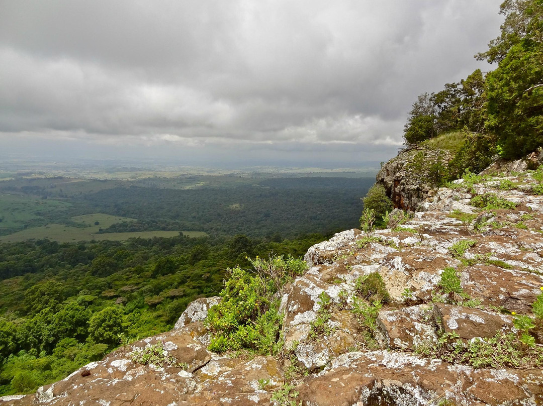 Mount Elgon National Park景点图片