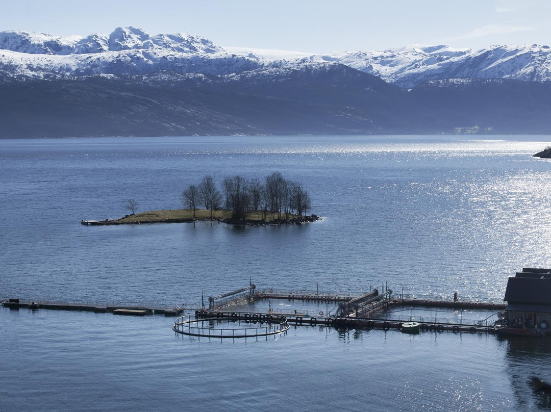 Steinsto旅游攻略图片