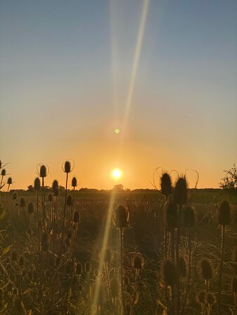 Los Dos Vagones主图