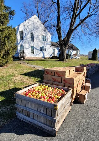Susquehanna Orchards-Delta必去景点