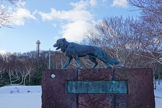 Sakhalin Dog Memorial Tower景点图片