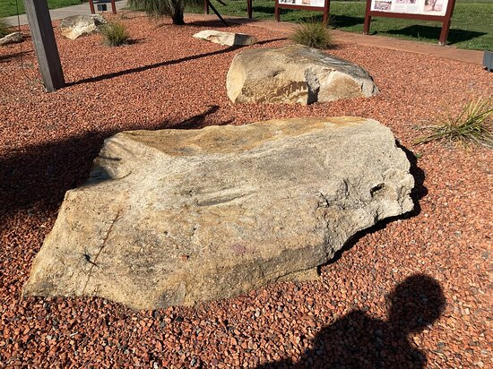 Liverpool Plains Visitor Information Centre-Willow Tree必去景点