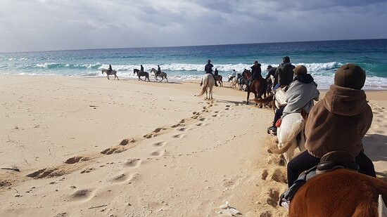 Cavalos na Areia-Comporta必去景点