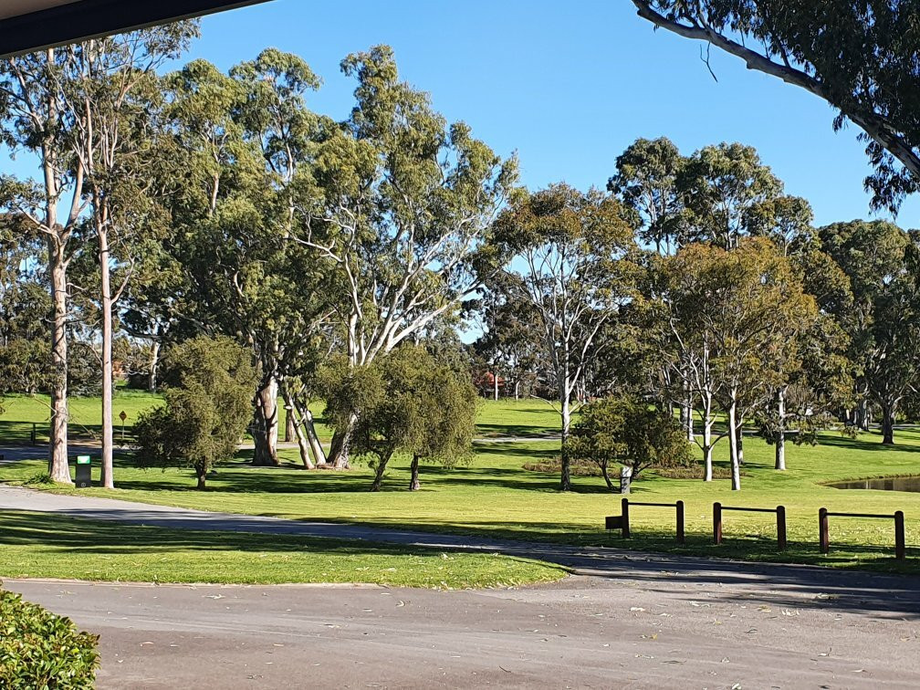 Serafino Wines Pty Ltd主图