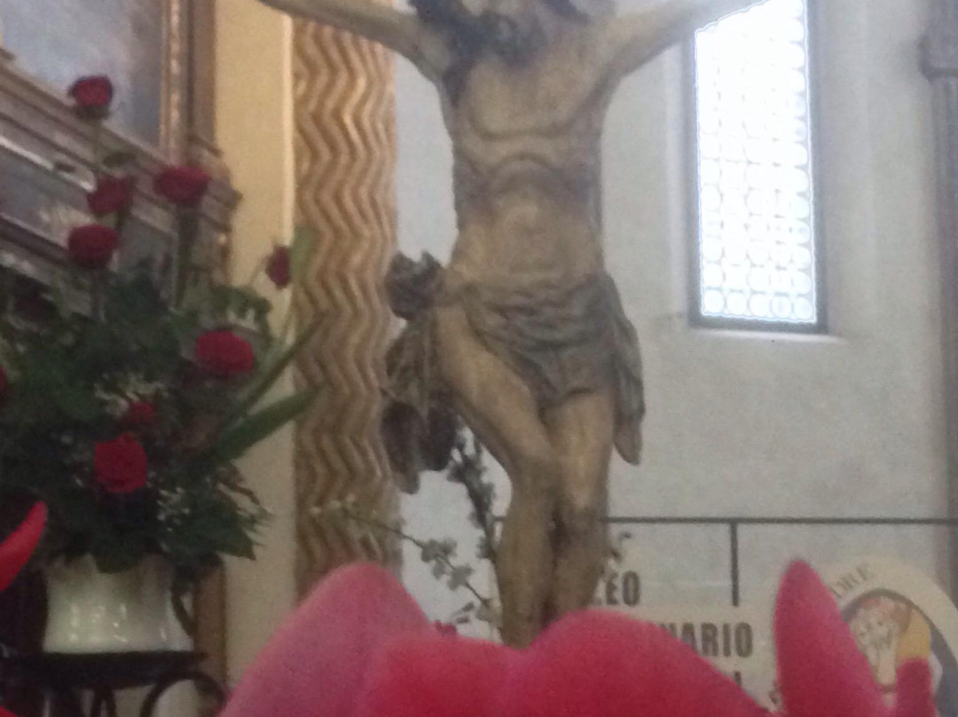 Santuario Madonna del Pilastrello景点图片