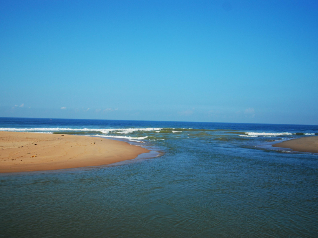 Poovar Backwater Cruise景点图片