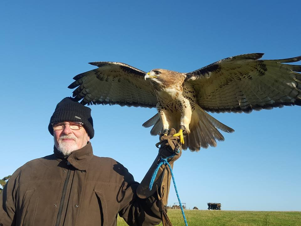 Newgrange Falconry