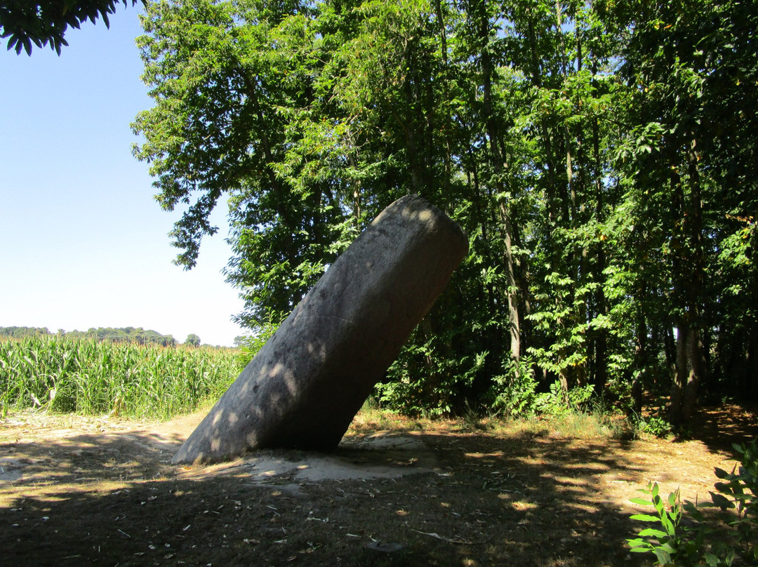 Le Menhir de la Tramblais景点图片