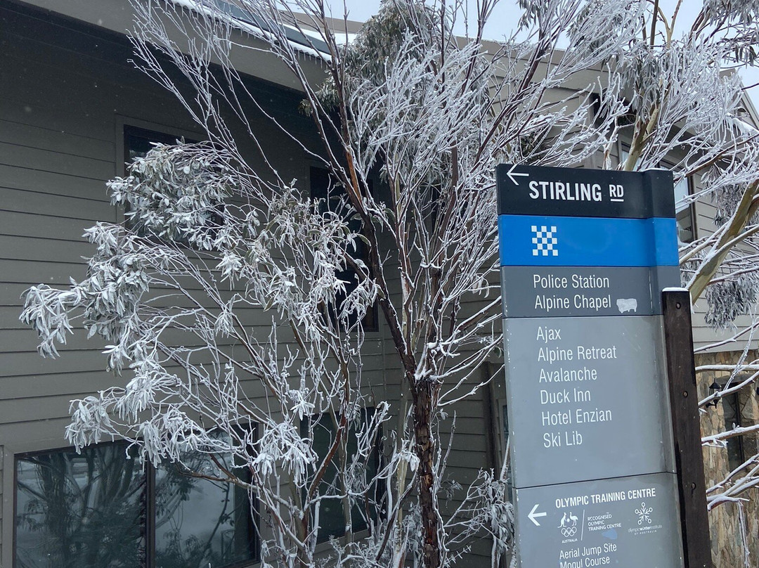 Jungfrau Ski Club