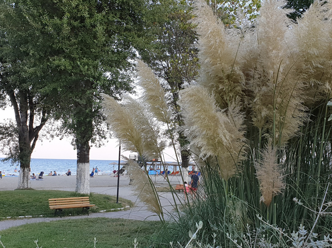 Hotel Olympic Beach