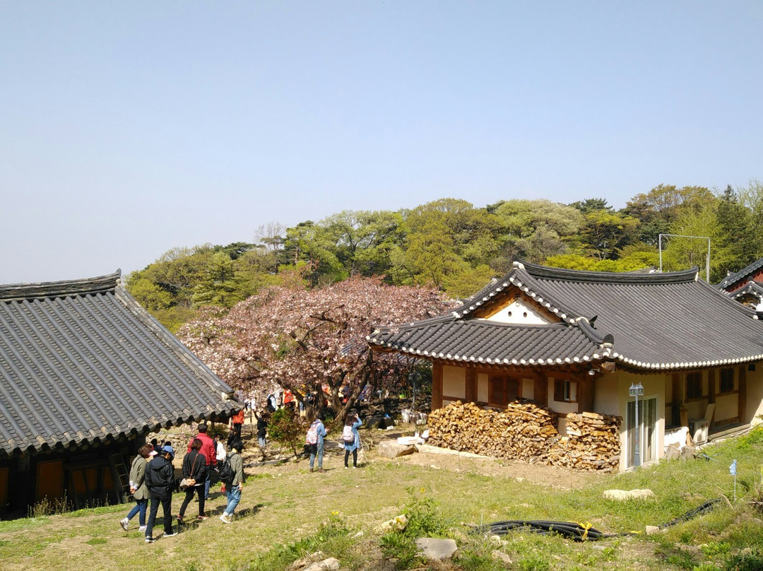 Gaesimsa Temple-瑞山市必去景点
