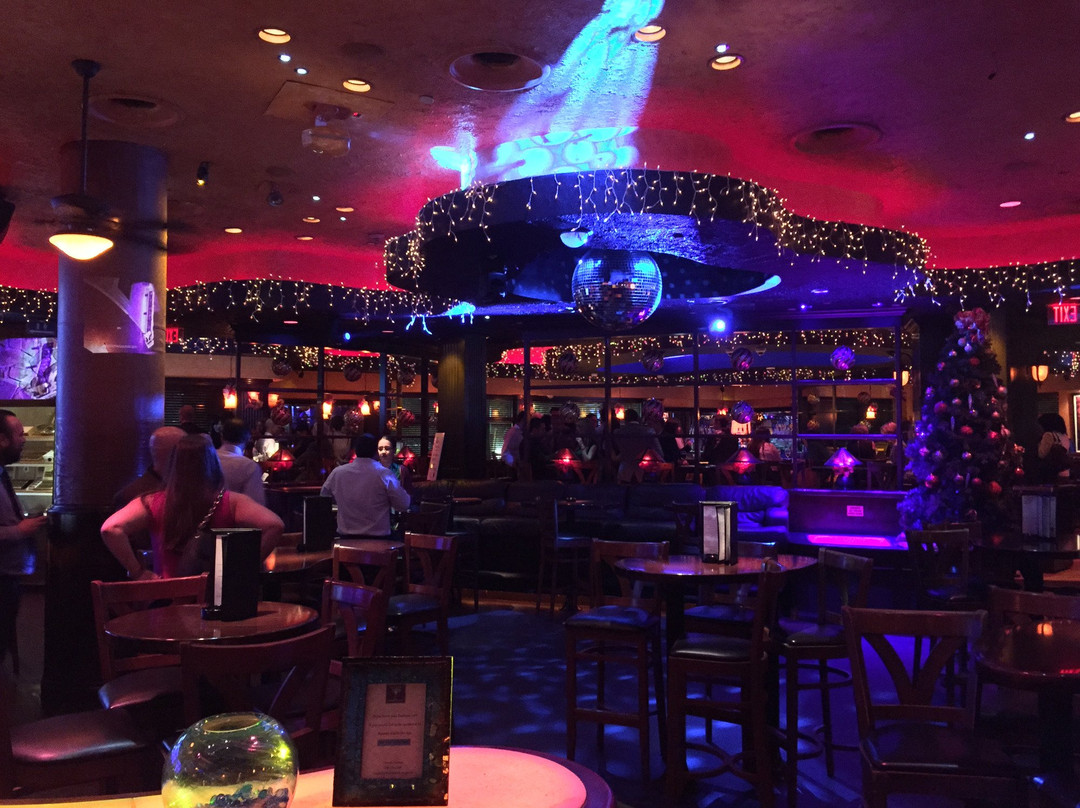 2024年1月Blue Martini Brickell景点攻略Blue Martini Brickell门票预订地址图片Blue