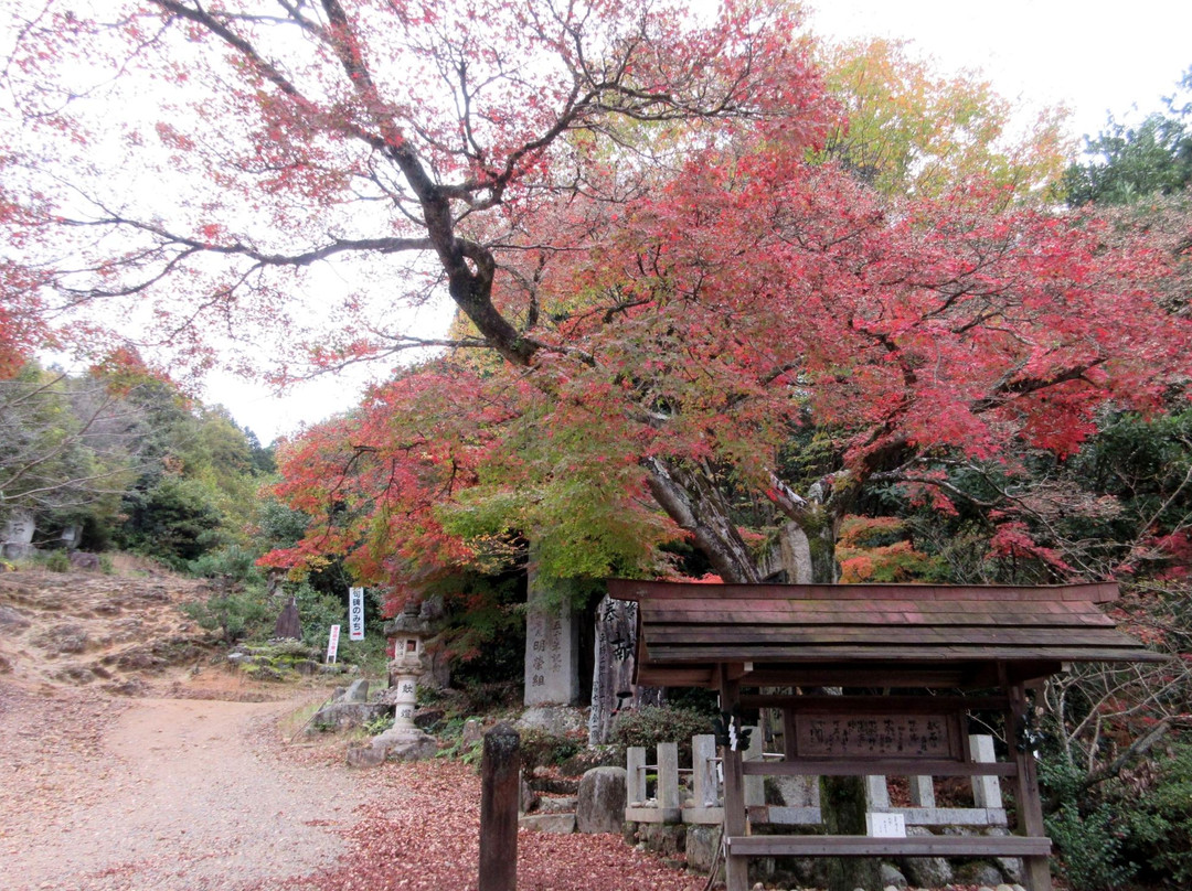 Owarifuji Omiya Sengen Shrine景点图片