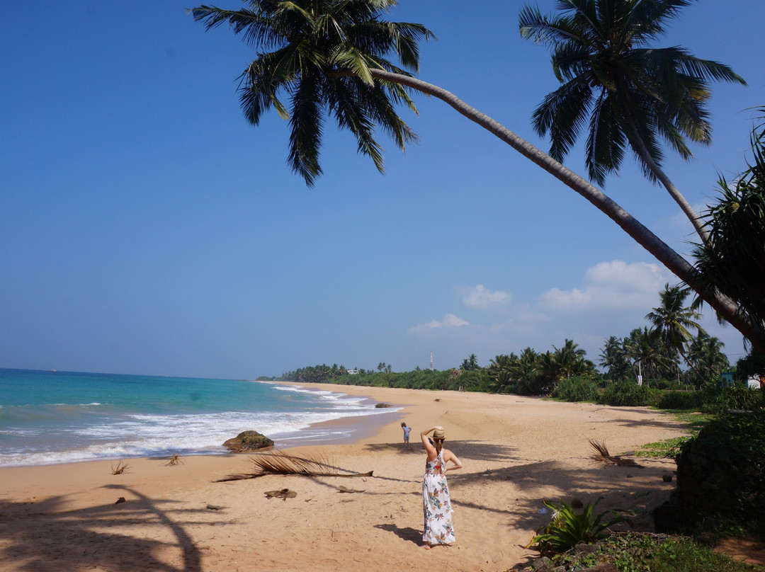 Chauffeur Prive Srilanka-奴娃拉伊利雅必去景点