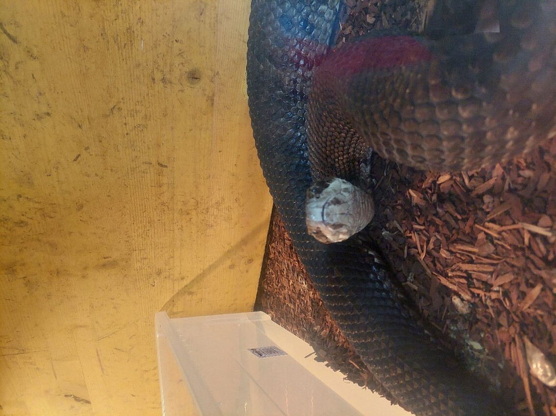 Nordharzer Schlangenparadies