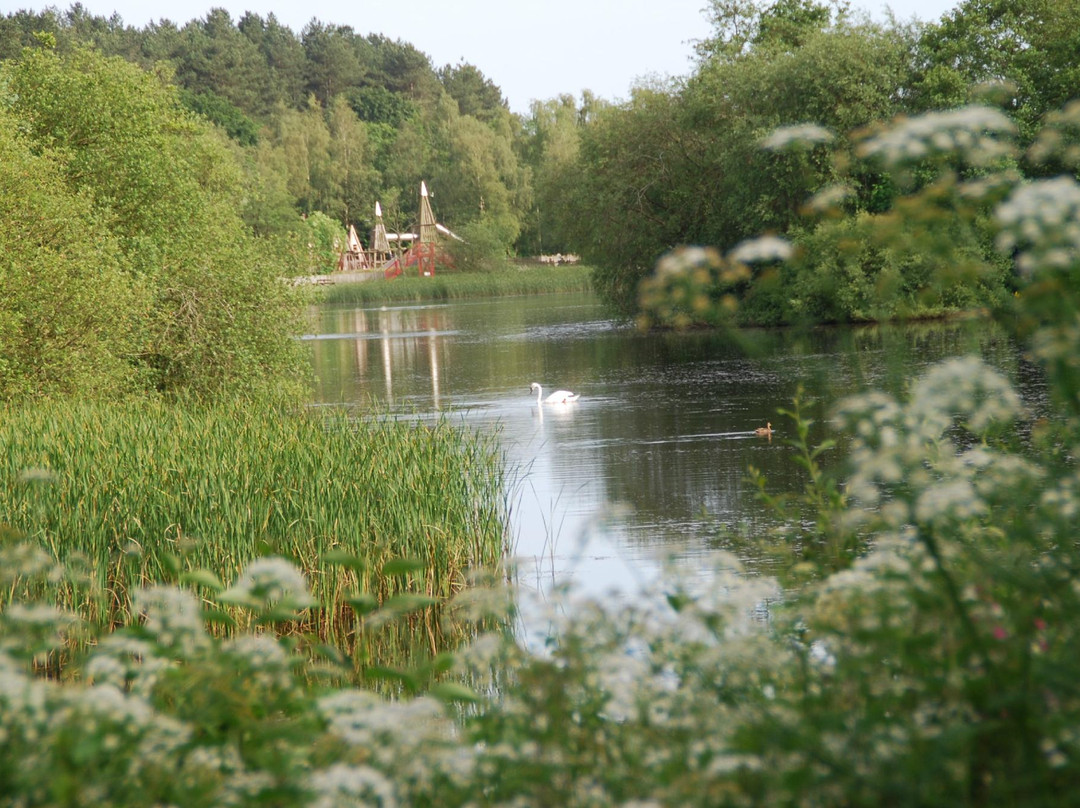 Moors Valley Country Park and Forest景点图片