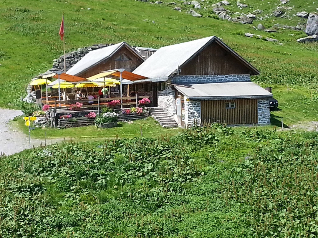 Alte Alp Gaffia