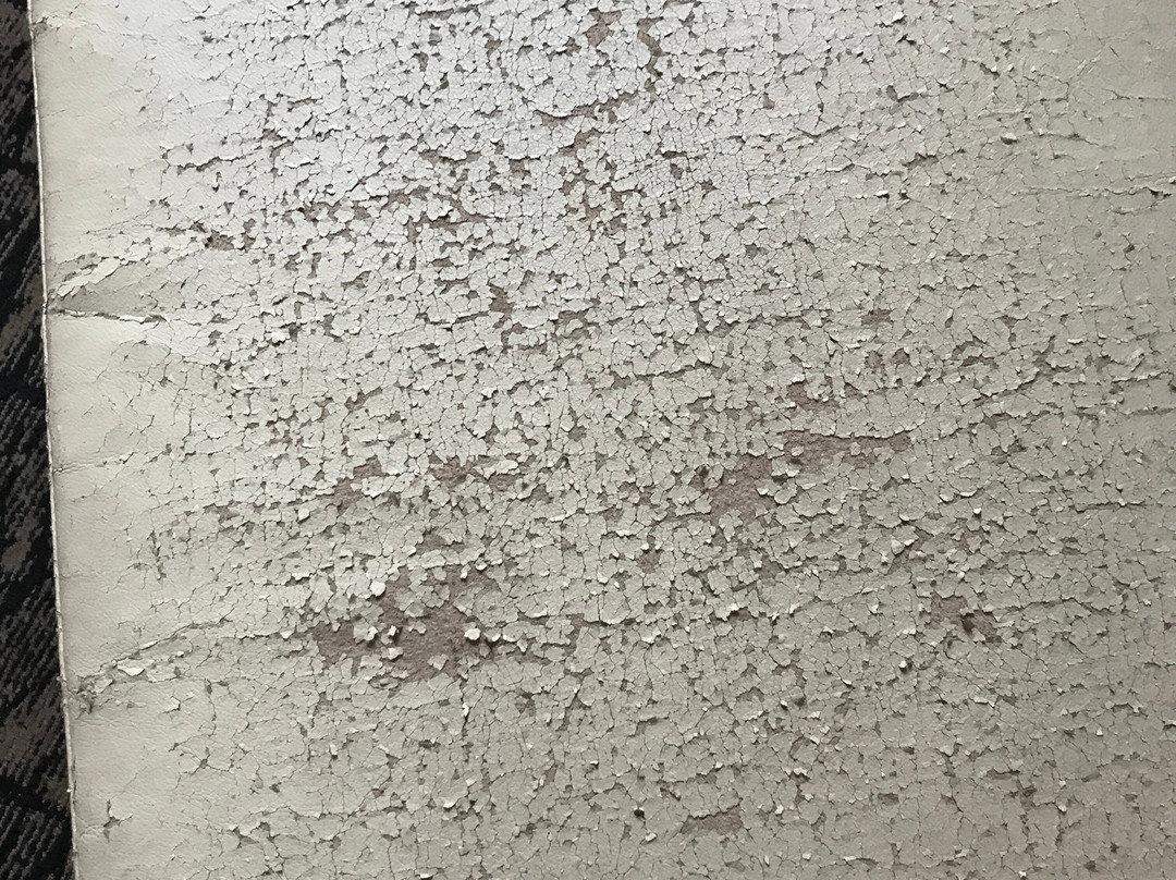 Best Western Plus Wendover Inn主图