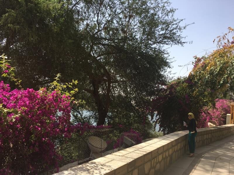 Aswan Botanical Garden景点图片