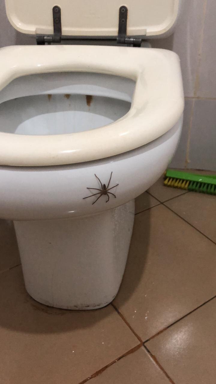 Panga Chumvi Beach Resort-浴室