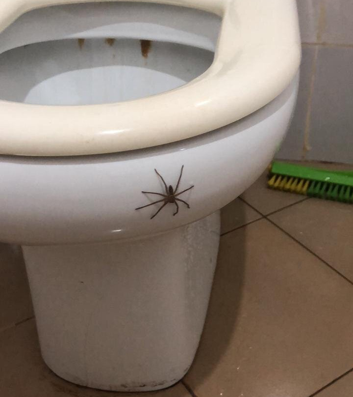 Panga Chumvi Beach Resort主图