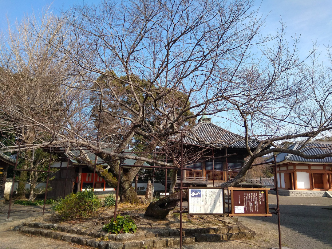 Dojoji Temple-日高川町必去景点