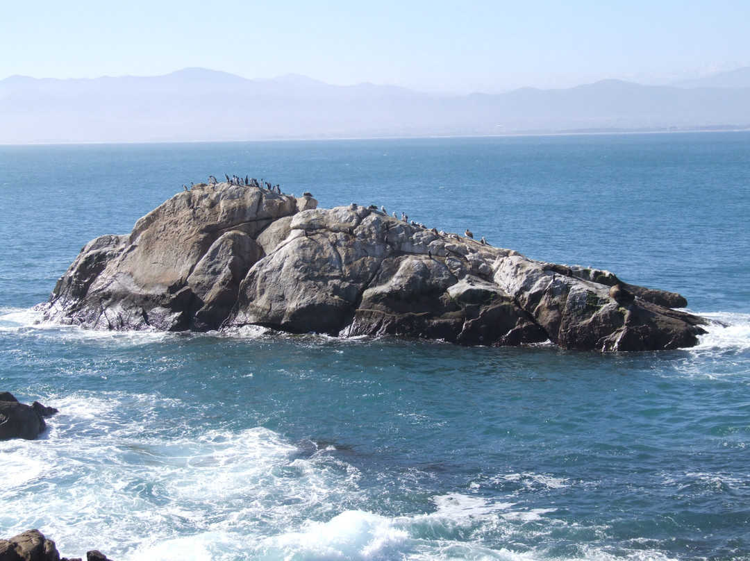 Fuerte Lambert-Coquimbo必去景点